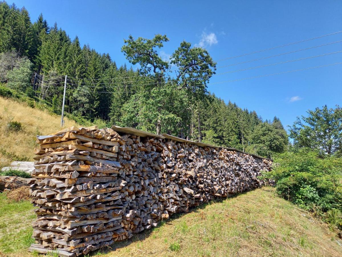 Landhaus Gruenjuwel Himmelberg Exterior foto